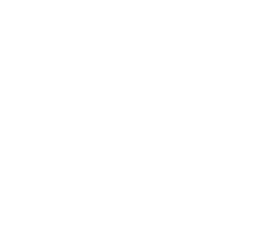 BRAZA